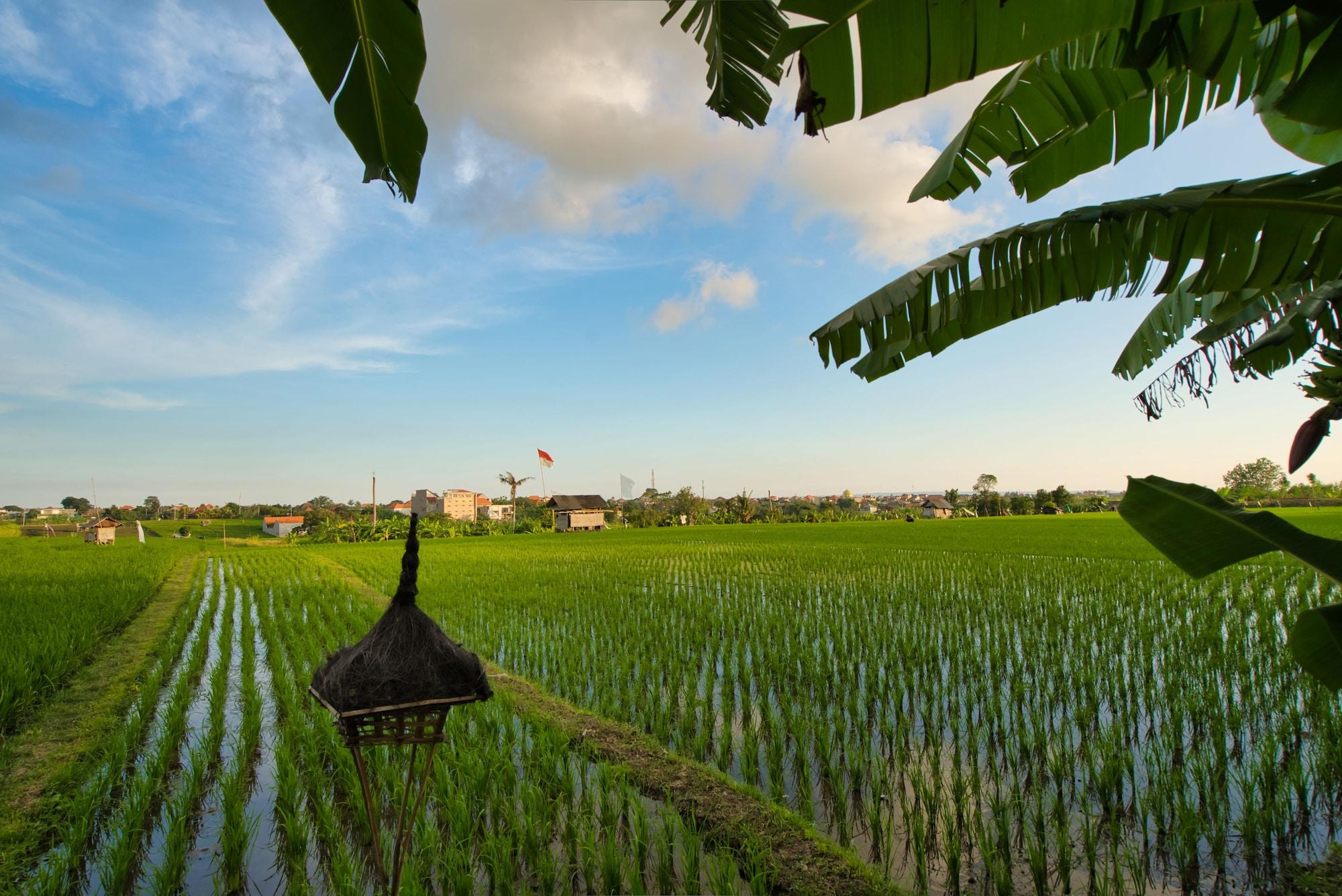 Sotis Villas Canggu Kültér fotó